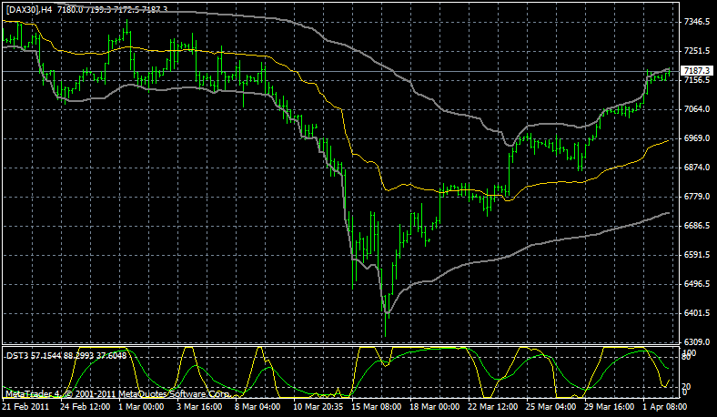 Bear Zocks - daily 393028