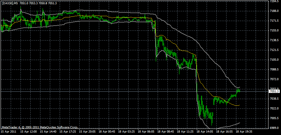 Bear Zocks - daily 396701