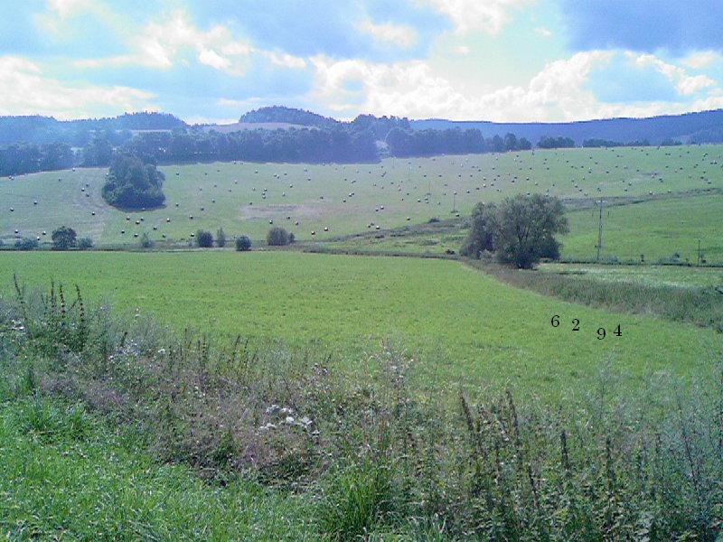 1.353.DAX Tipp-Spiel, Montag, 09.08.10 336518