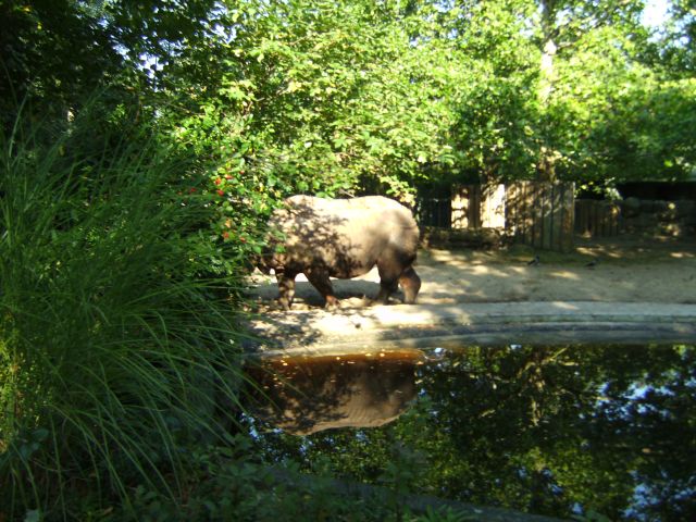 739.DAX Tipp-Spiel, Freitag, 07.03.08 153255