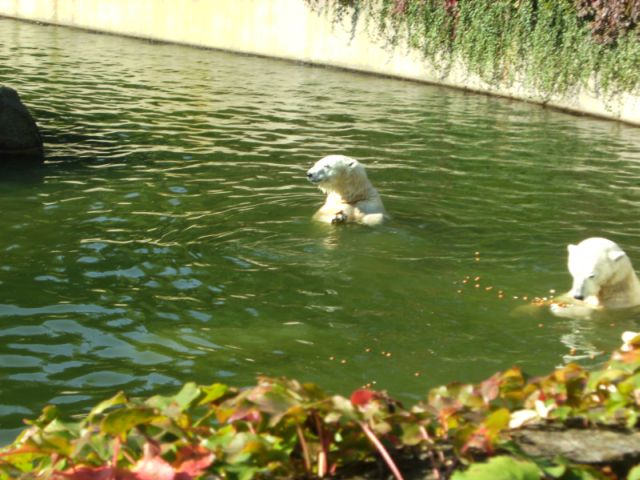 729.DAX Tipp-Spiel, Freitag, 22.02.08, 17.45 Uhr, 149838