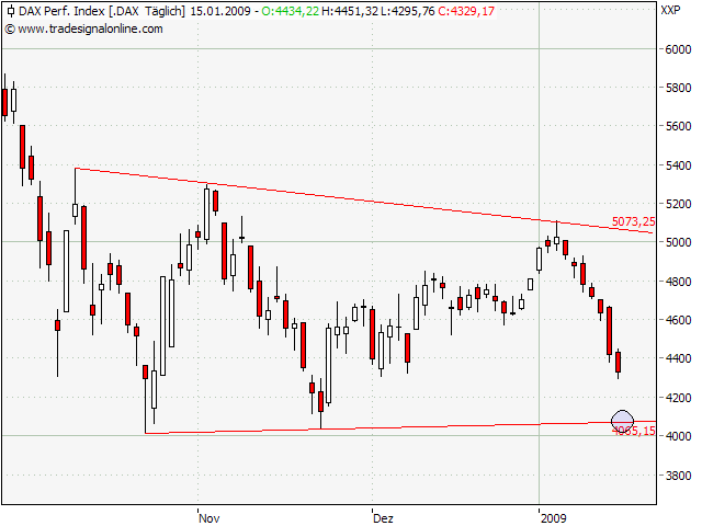 Der USA Bären-Thread 210632