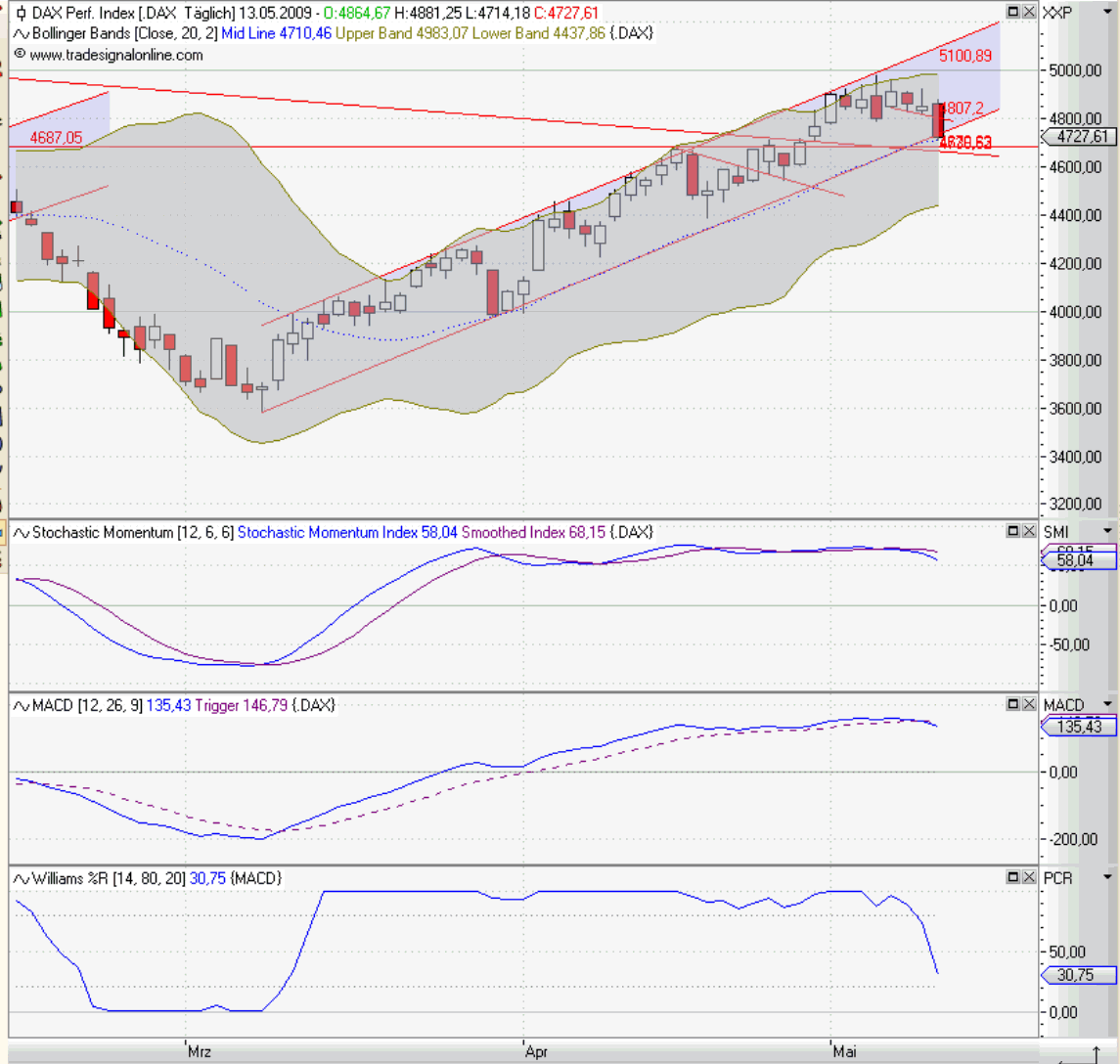 Die Bullen scharren gar nicht mit den Hufen, 232869