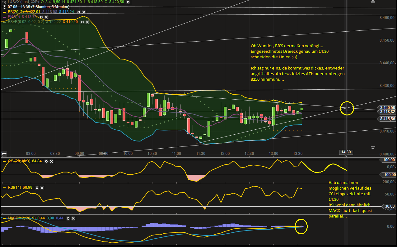 Quo Vadis Dax 2013 - Up, dank Liquidität 629414