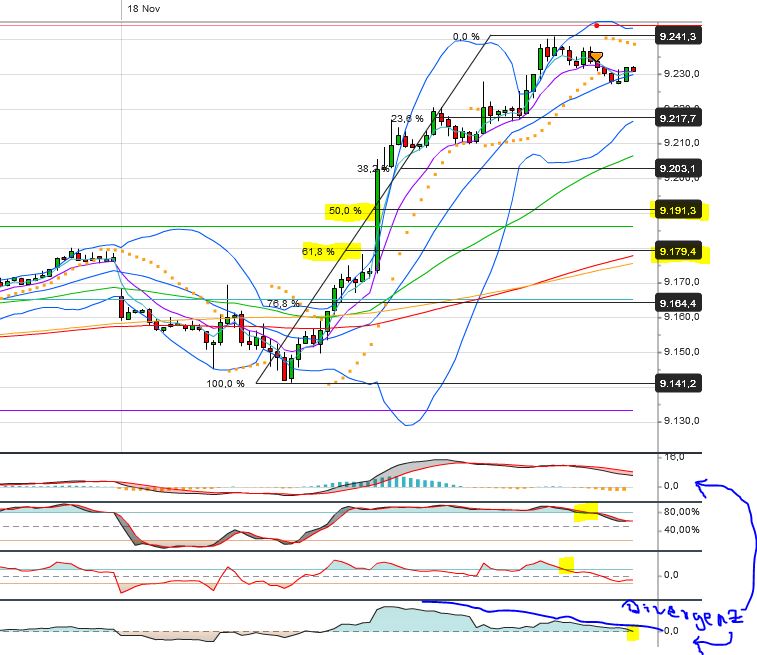 Quo Vadis Dax 2013 - Up, dank Liquidität 665429