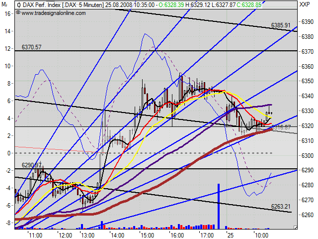 Die Bullen scharren gar nicht mit den Hufen, 182066
