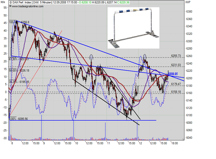 Die Bullen scharren gar nicht mit den Hufen, 185982