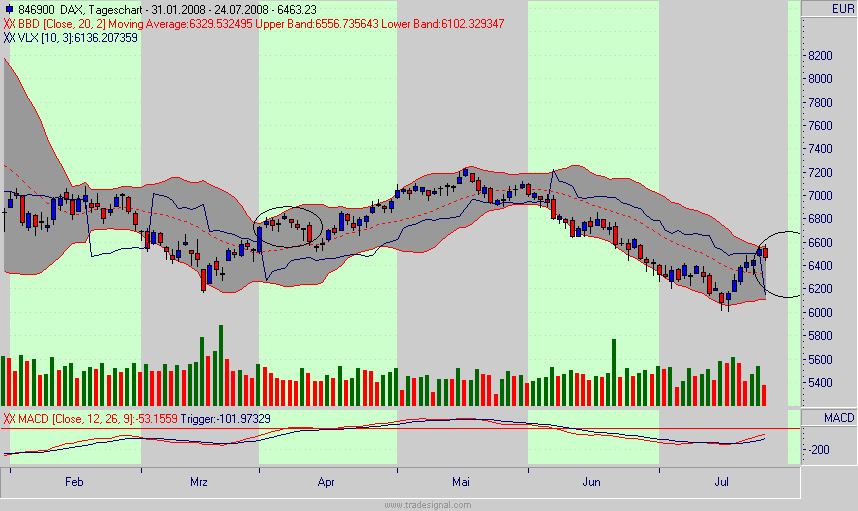 Das Bärengebrüll wird schon wieder lauter, 176588