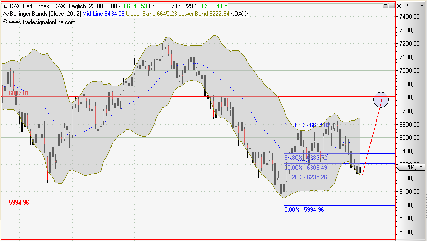 Die Bullen scharren gar nicht mit den Hufen, 181707
