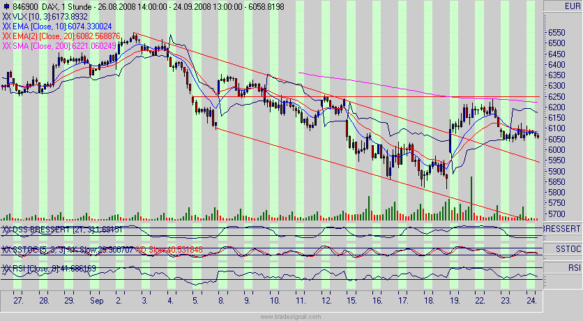 Die Bullen scharren gar nicht mit den Hufen, 188396