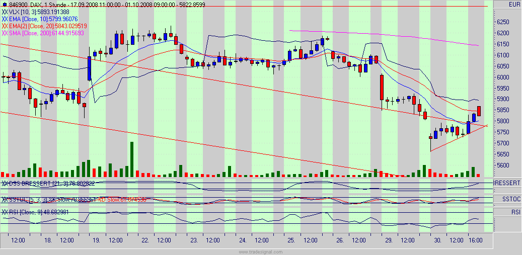 Die Bullen scharren gar nicht mit den Hufen, 189718