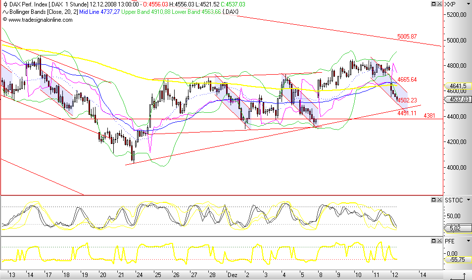 Die Bullen scharren gar nicht mit den Hufen, 205230