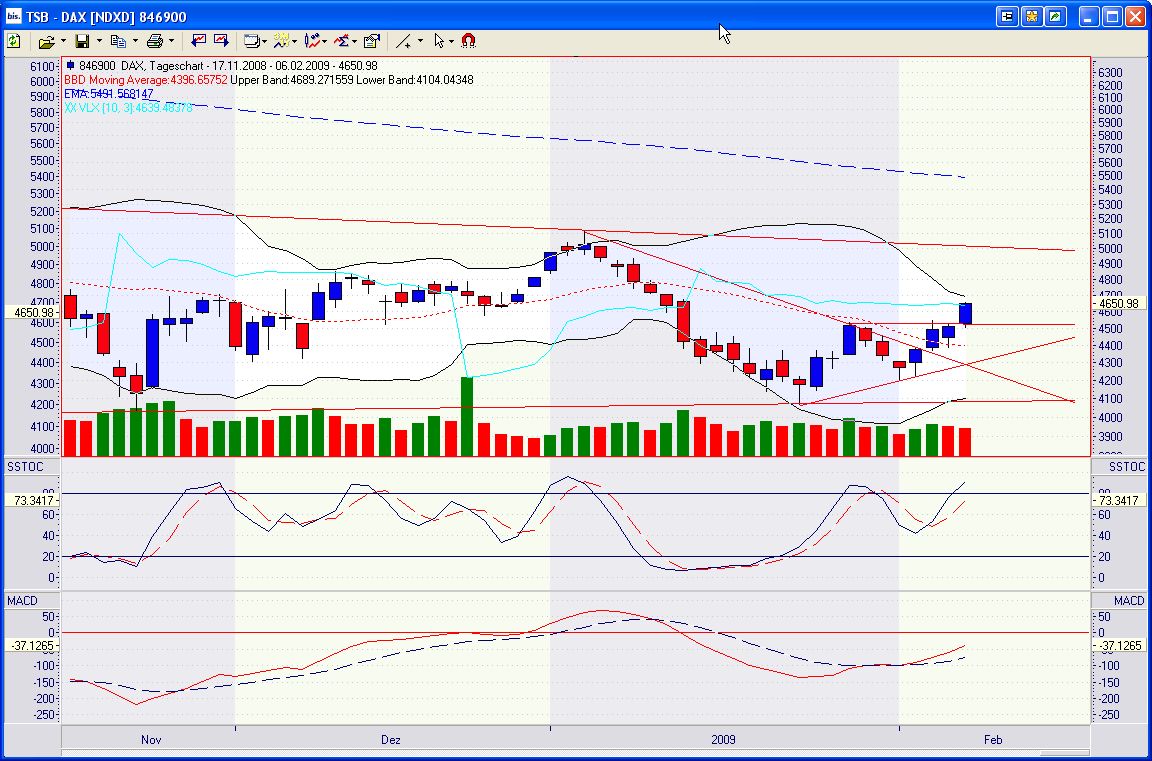 Die Bullen scharren gar nicht mit den Hufen, 215114