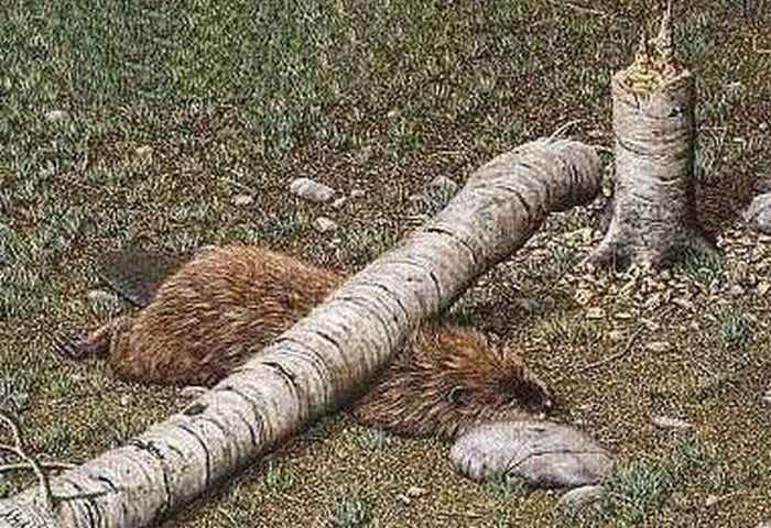 1.225.DAX Tipp-Spiel, Montag, 08.02.10 297449