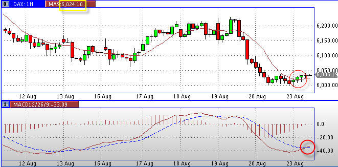 Quo Vadis Dax 2010 - Das Original 339755
