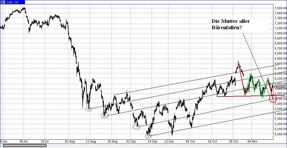 Die Bullen scharren gar nicht mit den Hufen, 457855
