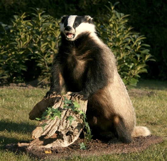 DAX 30 in 2012 bei 8000 ? 472643