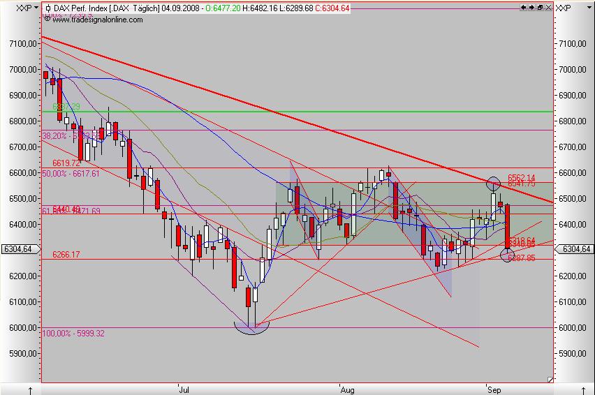 Die Bullen scharren gar nicht mit den Hufen, 184323