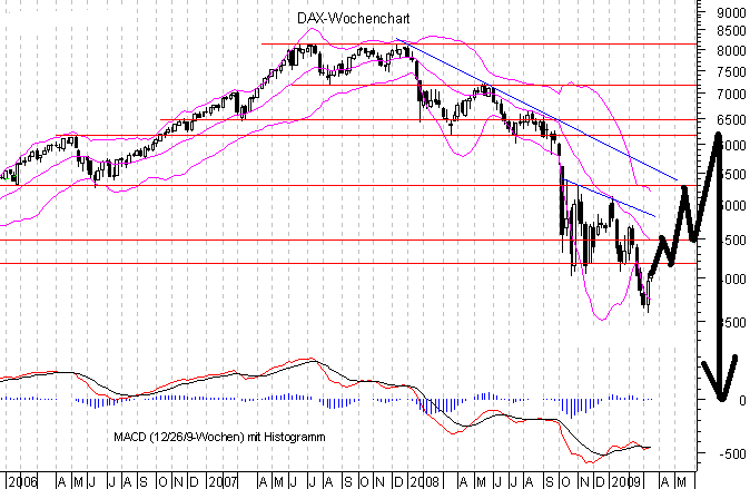 Die Bullen scharren gar nicht mit den Hufen, 223934