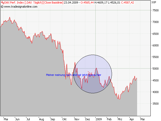 Der USA Bären-Thread 229025