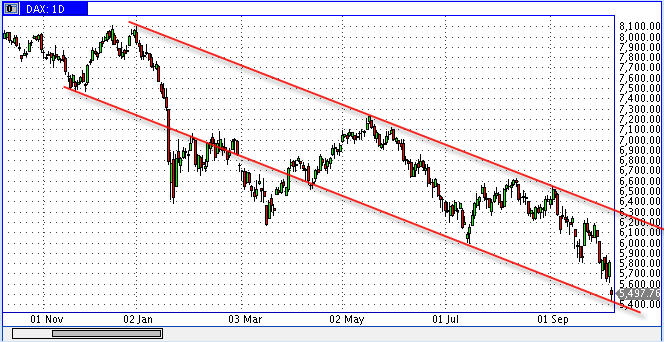 Die Bullen scharren gar nicht mit den Hufen, 190595