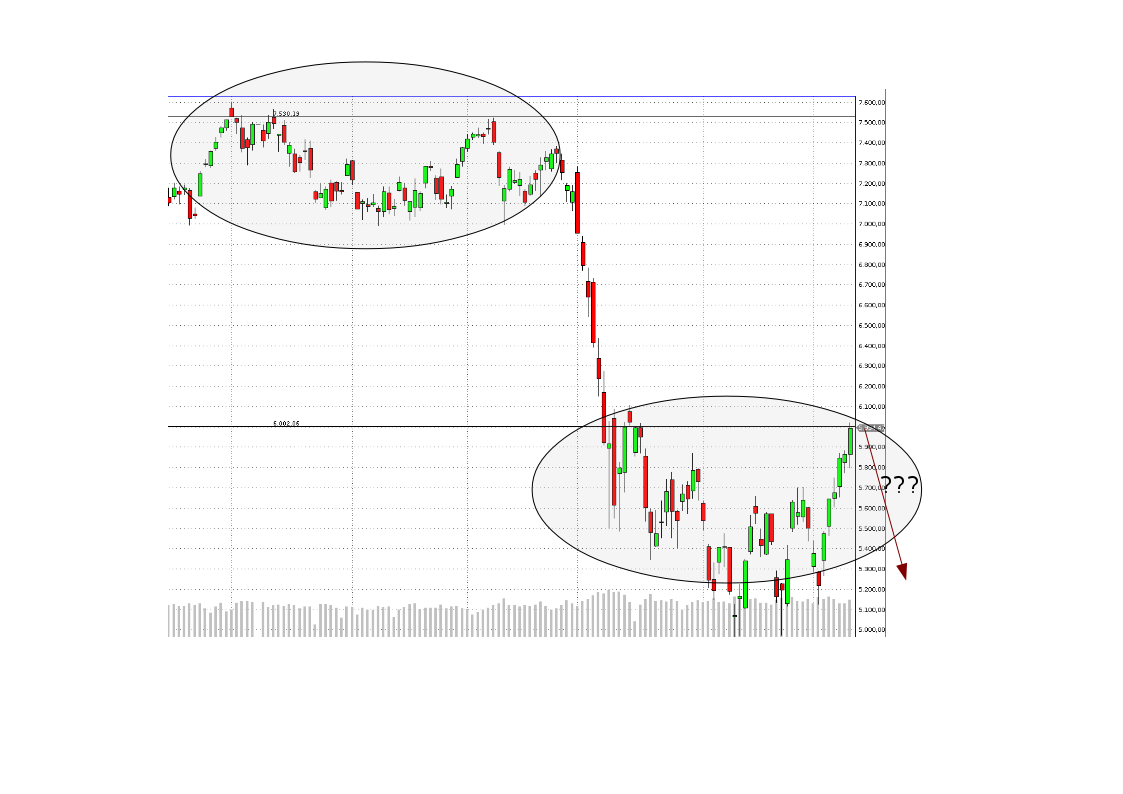 Quo Vadis Dax 2011 - All Time High? 447733