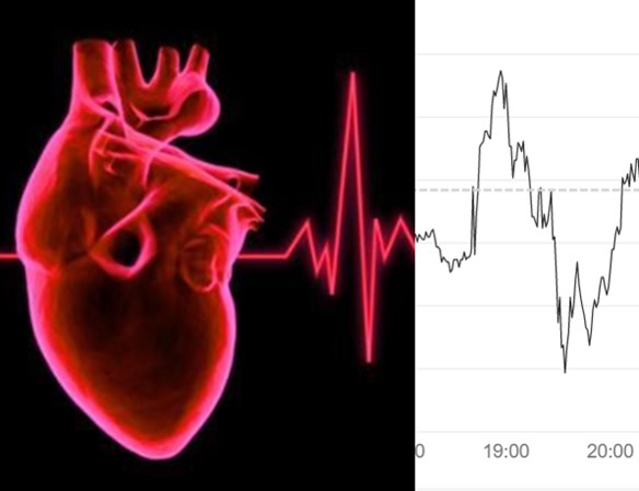 Börse ein Haifischbecken: Trade was du siehst 1356054