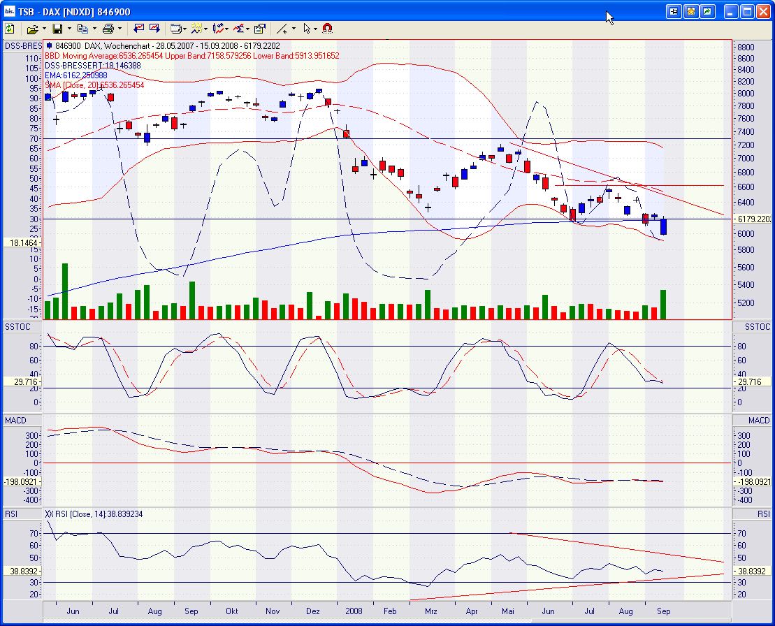 Die Bullen scharren gar nicht mit den Hufen, 187598