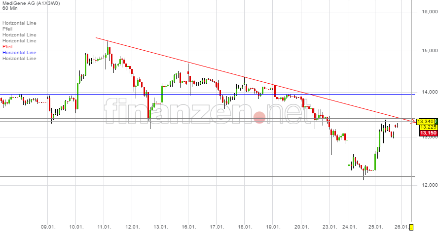 Medigene - Kurse/Quatschen/Charts/Einzeiler..u.s.w. 966906