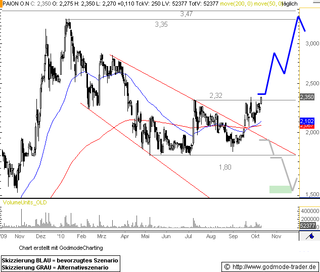 PAION Eine Fledermaus lernt wieder fliegen 350562