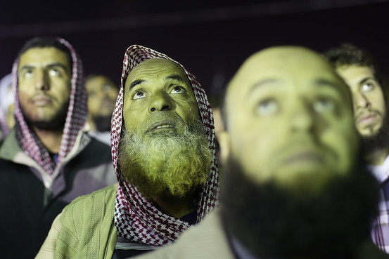 QV ultimate 2012 561578