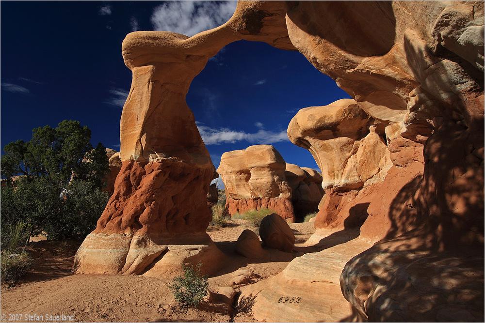 711.DAX Tipp-Spiel, Dienstag, 29.01.08, 17.45 Uhr, 144915