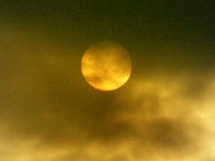 Goldpreis könnte bis auf 500 Dollar steigen 41888