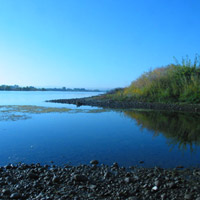 DE BEIRA GOLDFIELDS INC / Die Chance 62542