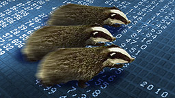 Balda schnelle 100 Prozent 307362