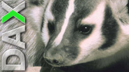 Quo Vadis Dax 2011 - All Time High? 372680