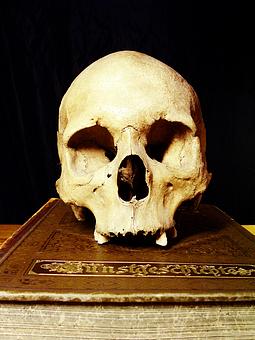 Thompson Creek Metals (Blue Pearl Mng) 94561