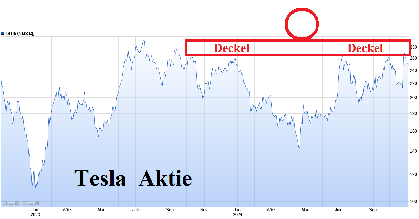 Tesla - Autos, Laster, Speicher und Solardächer 1455494