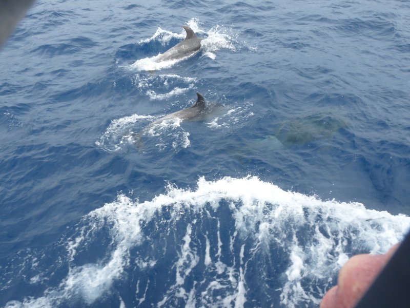 Banken in der Euro - Zone 589412