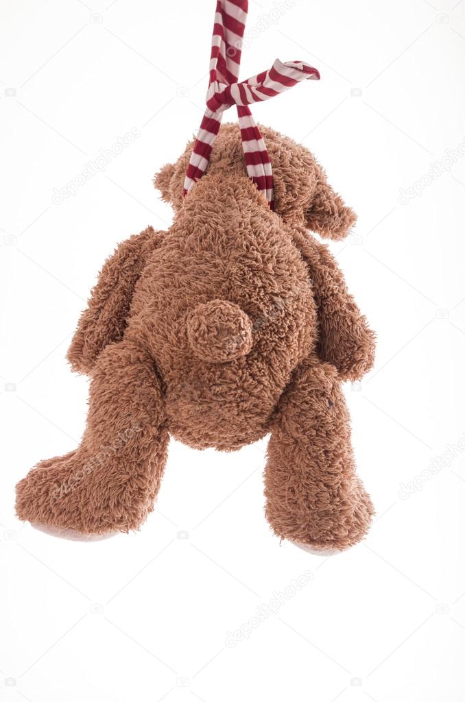 Der USA Bären-Thread 1255417