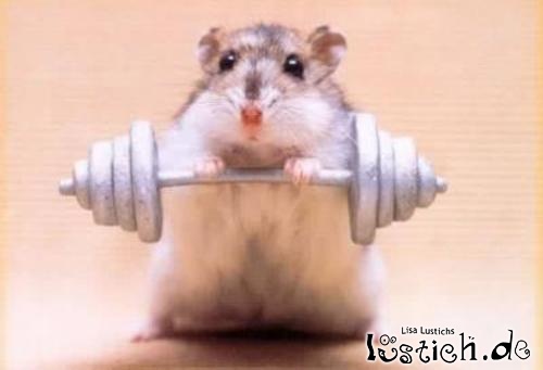 1.205.DAX Tipp-Spiel, Montag, 11.01.10 290122