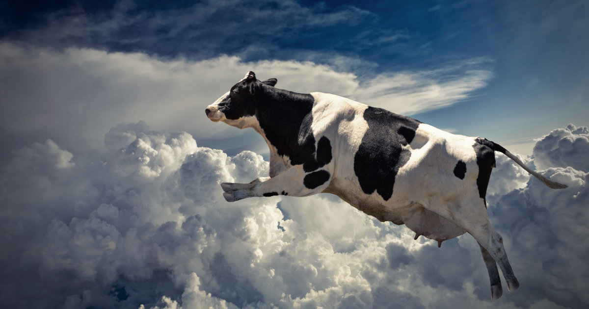 AMC Entertainment Holdings 2.0 - Todamoon?!? 1255584