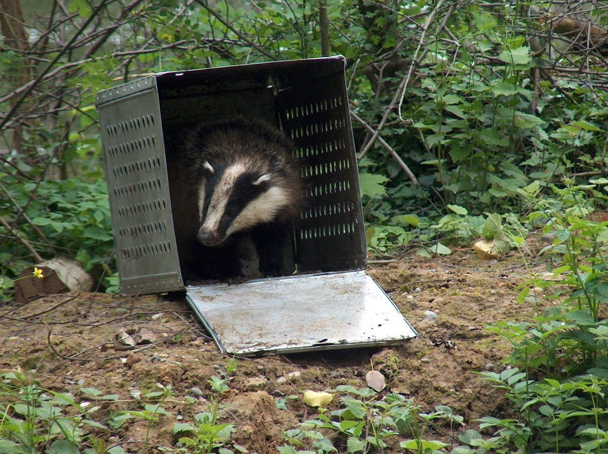 Wer will den DAX tippen? 321856