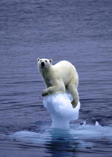 ADX Energy (WKN: 875366): Millionenchance????? 423345