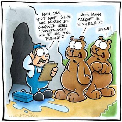 Der USA Bären-Thread 812630