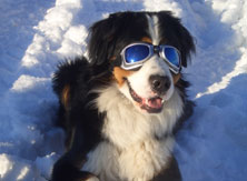 Capella gut gestartet! 137984