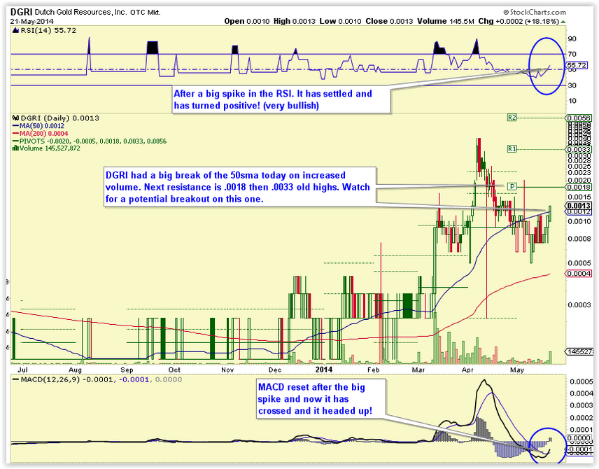 DGRI Financial Services for the Medical Marijuana 725358