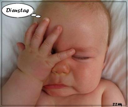 769.DAX Tipp-Spiel, Dienstag, 22.04.08 160519