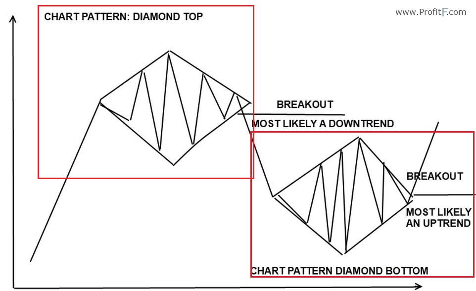 Der USA Bären-Thread 1106765