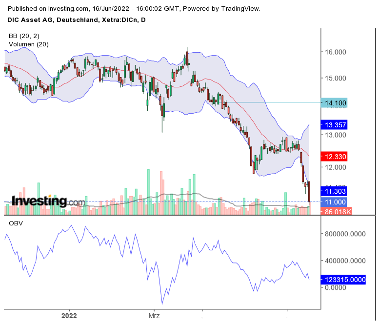 DIC Asset - TopPick? 1319691